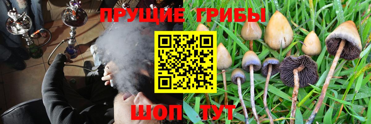 Галлюциногенные грибы GOLDEN TEACHER  Вход с VPN  Димитровград 